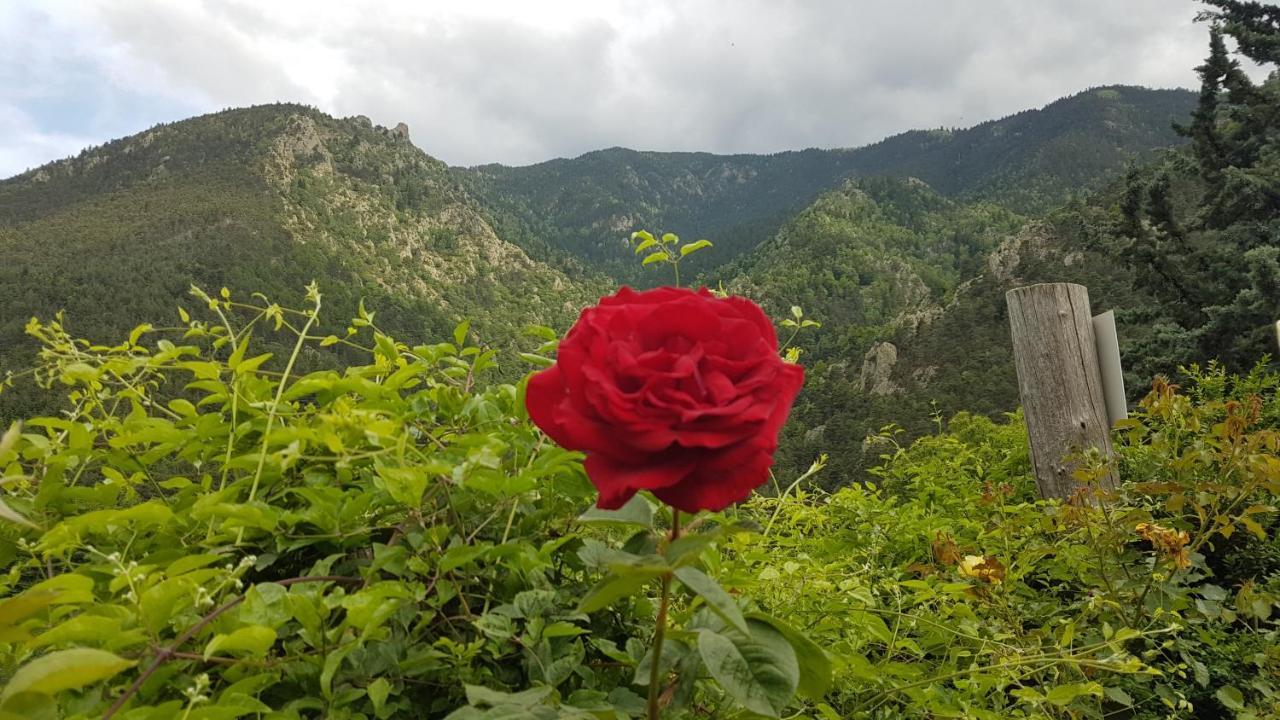 Camping Le P'Tit Bonheur Escaro Dış mekan fotoğraf