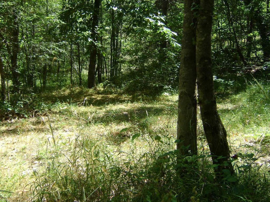 Camping Le P'Tit Bonheur Escaro Dış mekan fotoğraf
